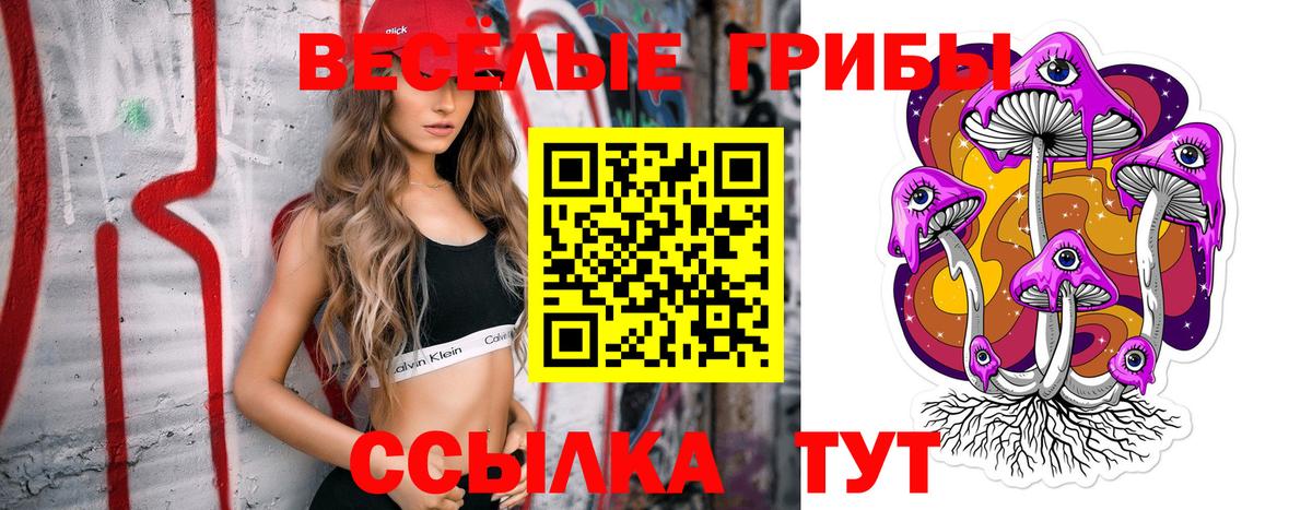 Псилоцибиновые грибы Psilocybe  Псилоцибиновые грибы GOLDEN TEACHER  Аша  Вход с VPN 